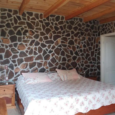 Cabanas Las Margaritas Huasca de Ocampo Luaran gambar