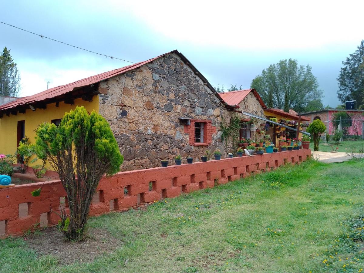 Cabanas Las Margaritas Huasca de Ocampo Luaran gambar