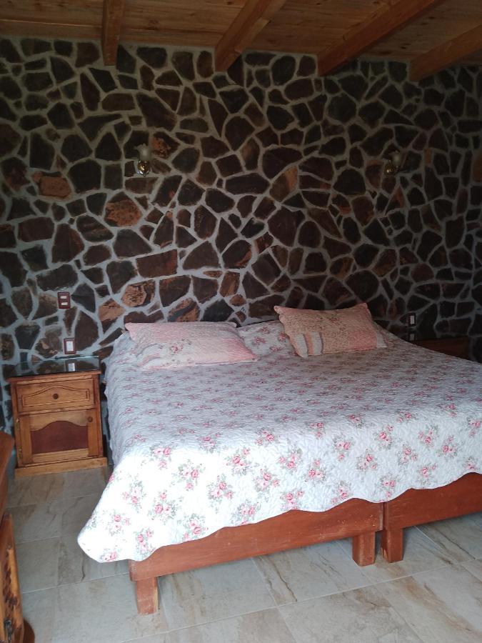 Cabanas Las Margaritas Huasca de Ocampo Luaran gambar